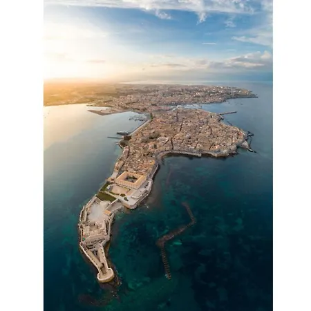 Akos فيلة